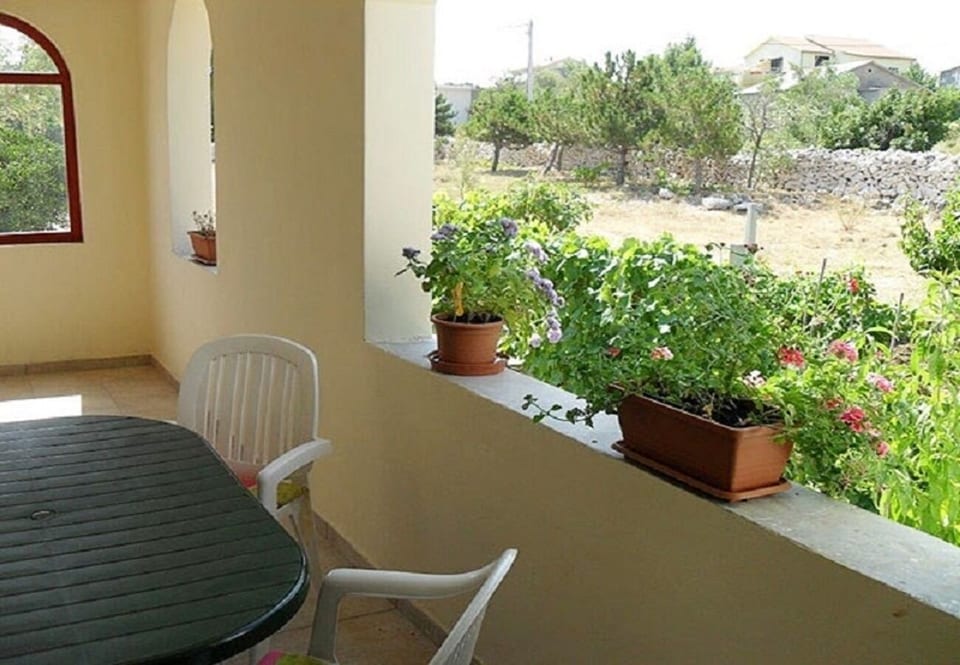 Appartements Mario - Unité 373781-13