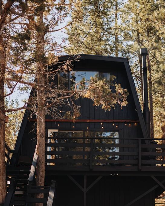 Cabin in the woods surrounded by pines