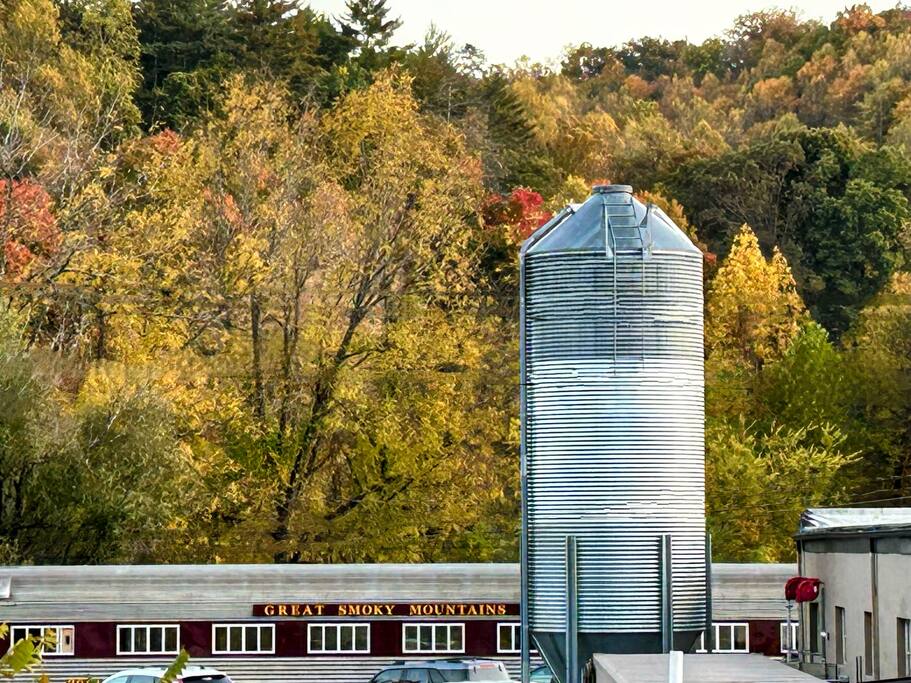 Downtown Gem • Walk Everywhere • Hot Tub •Bunkroom