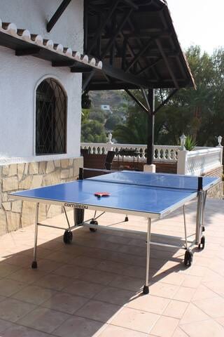 Table Tennis 