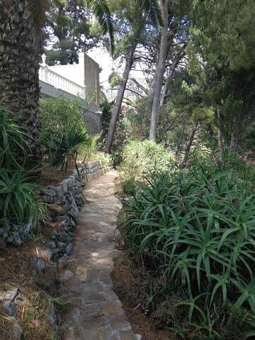 Path through the large garden