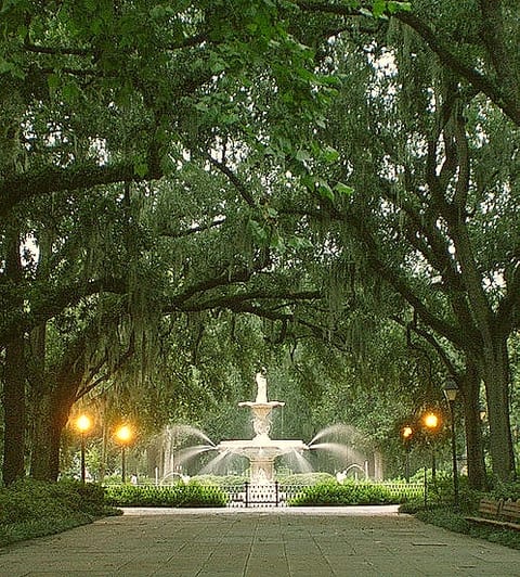 Charming tree-lined walkway leading to a stunning historic fountain