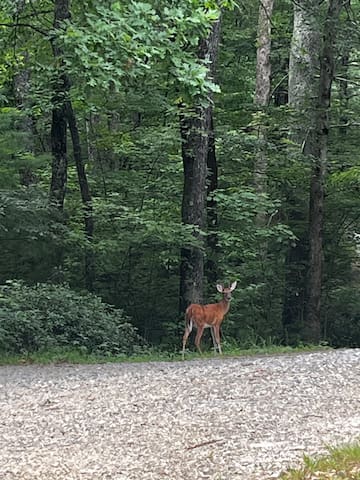 Cozy cabin, Fire Pit, BBQ Grill, Close to Helen - Sautee Nacoochee
