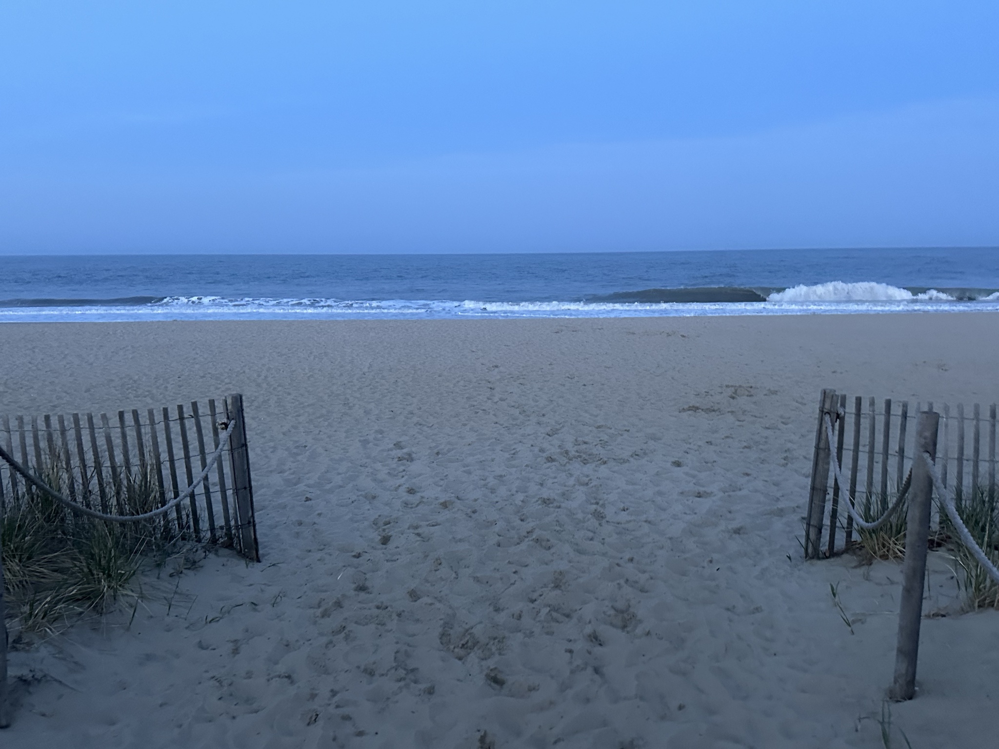 Our Shorebird Way - Millsboro Our Shorebird Way - Millsboro