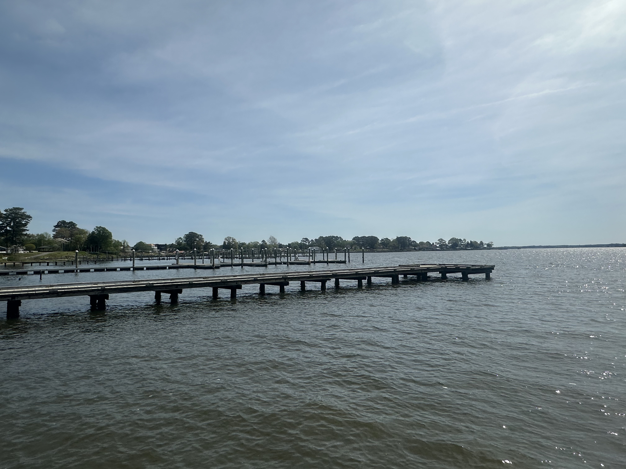 Our Shorebird Way - Millsboro Our Shorebird Way - Millsboro