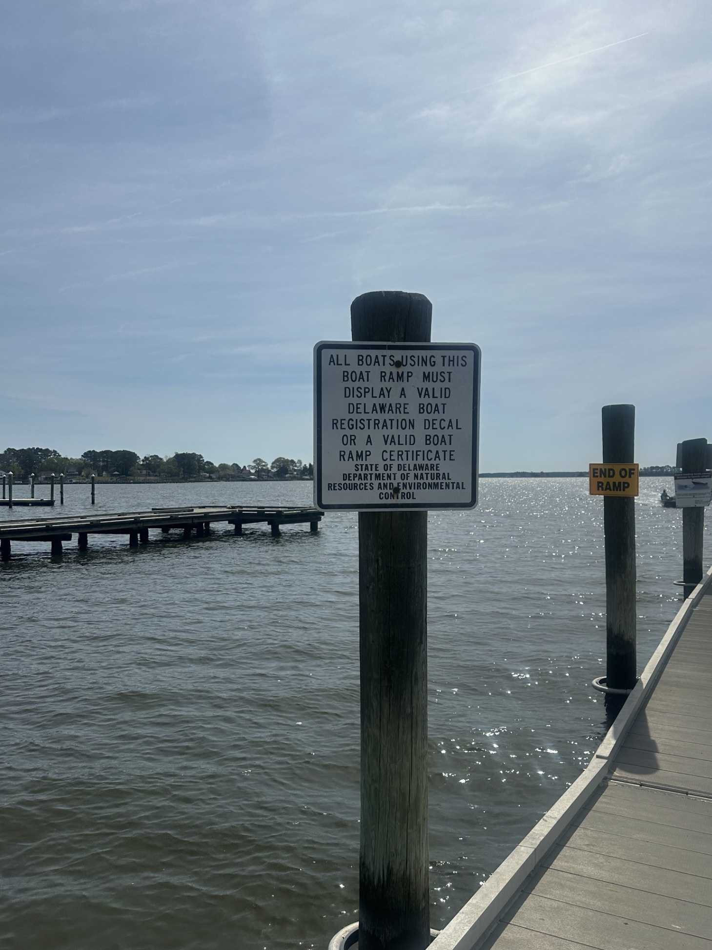 Our Shorebird Way - Millsboro Our Shorebird Way - Millsboro