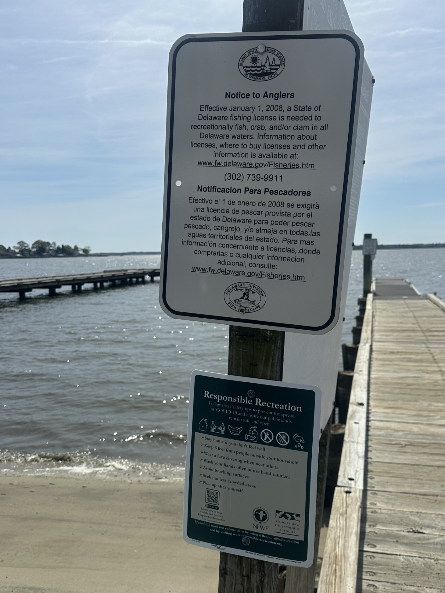 Our Shorebird Way - Millsboro Our Shorebird Way - Millsboro