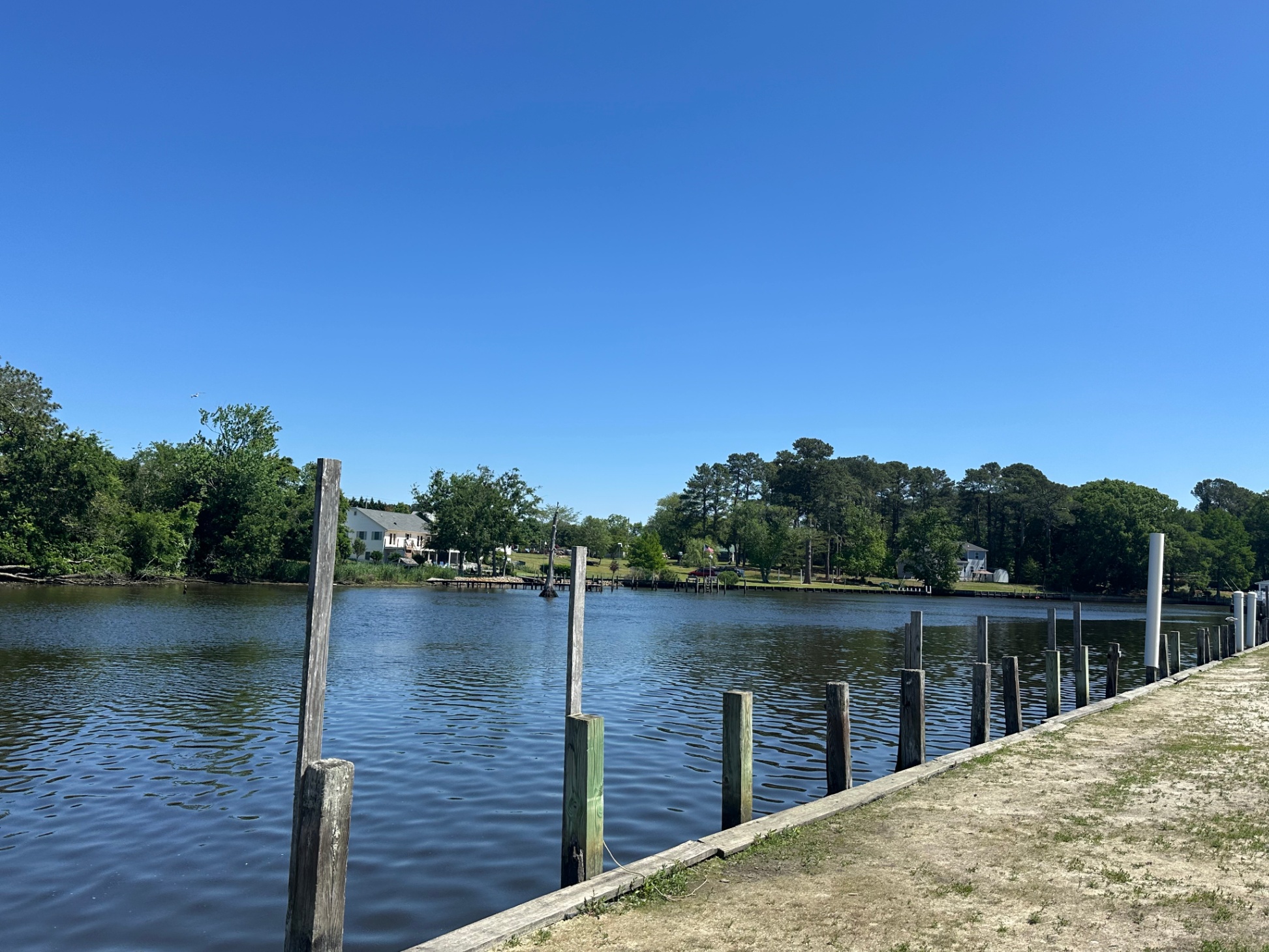 Our Shorebird Way - Millsboro Our Shorebird Way - Millsboro