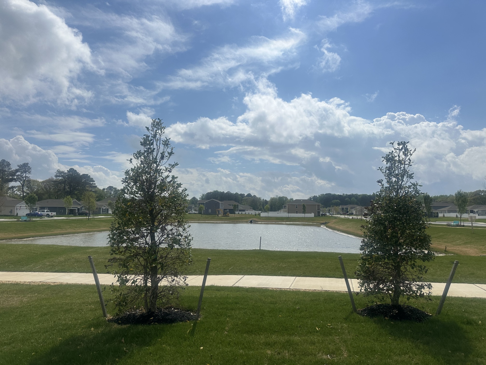 Tranquil pond adjacent to house Tranquil pond adjacent to house - Our Shorebird Way - Millsboro