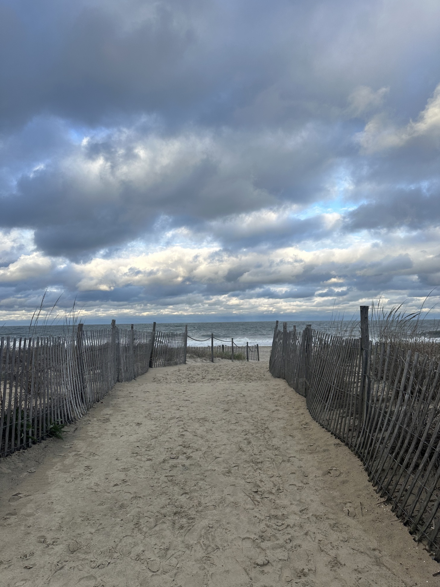 Our Shorebird Way - Millsboro Our Shorebird Way - Millsboro