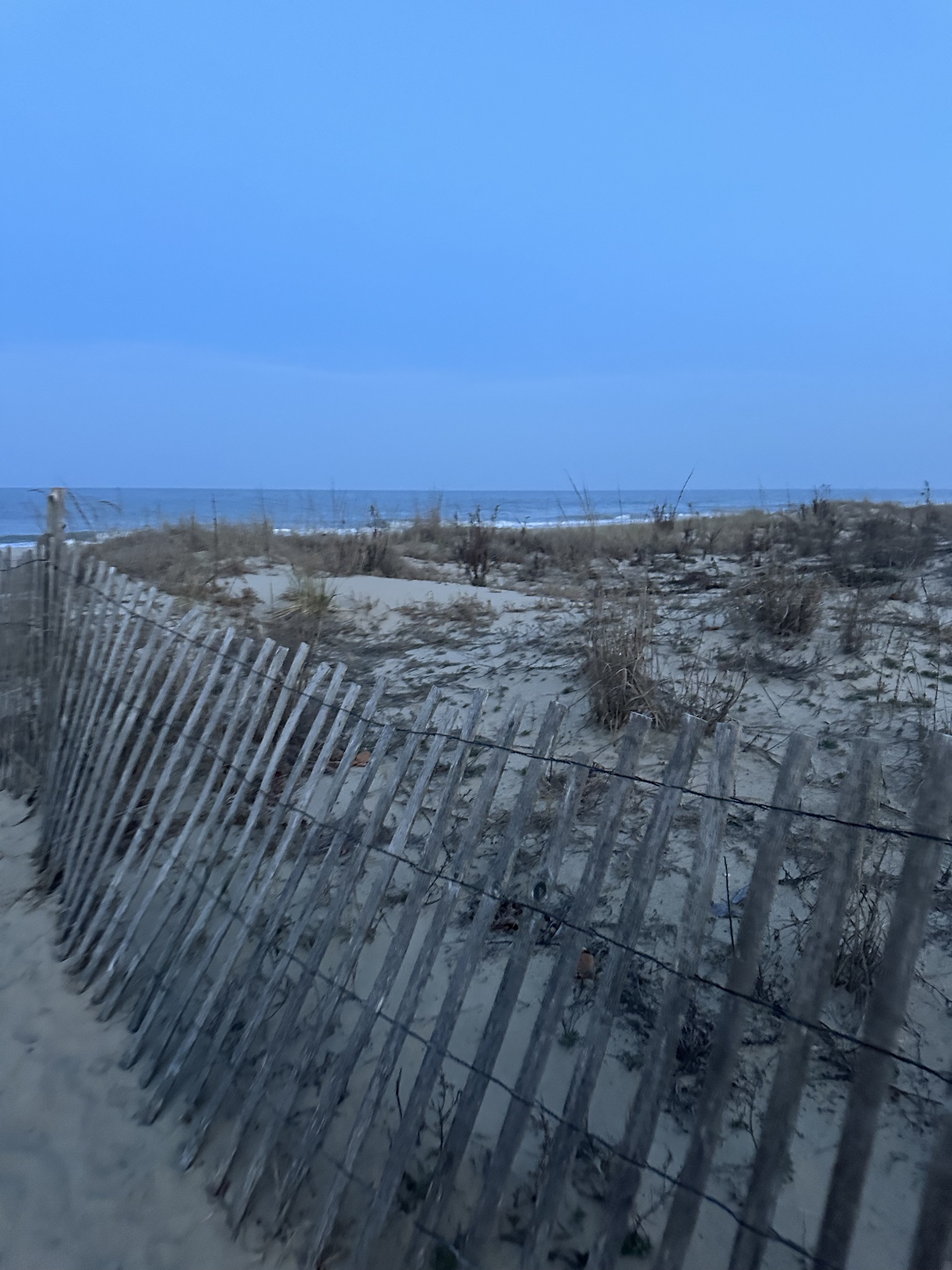 Rehobeth Beach, DE (15 miles, 22 minutes) Rehobeth Beach, DE (15 miles, 22 minutes) - Our Shorebird Way - Millsboro