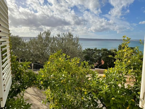 Apartment Ante - Unit 373837-13