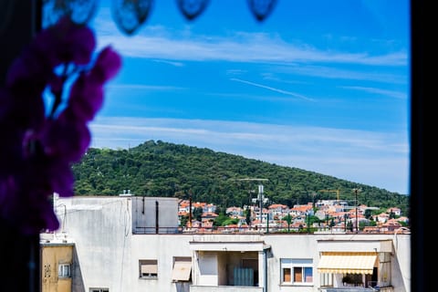 Apartment Dragica - Unit 373847-13