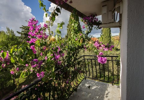 Apartments Daju - Unit 373984-13