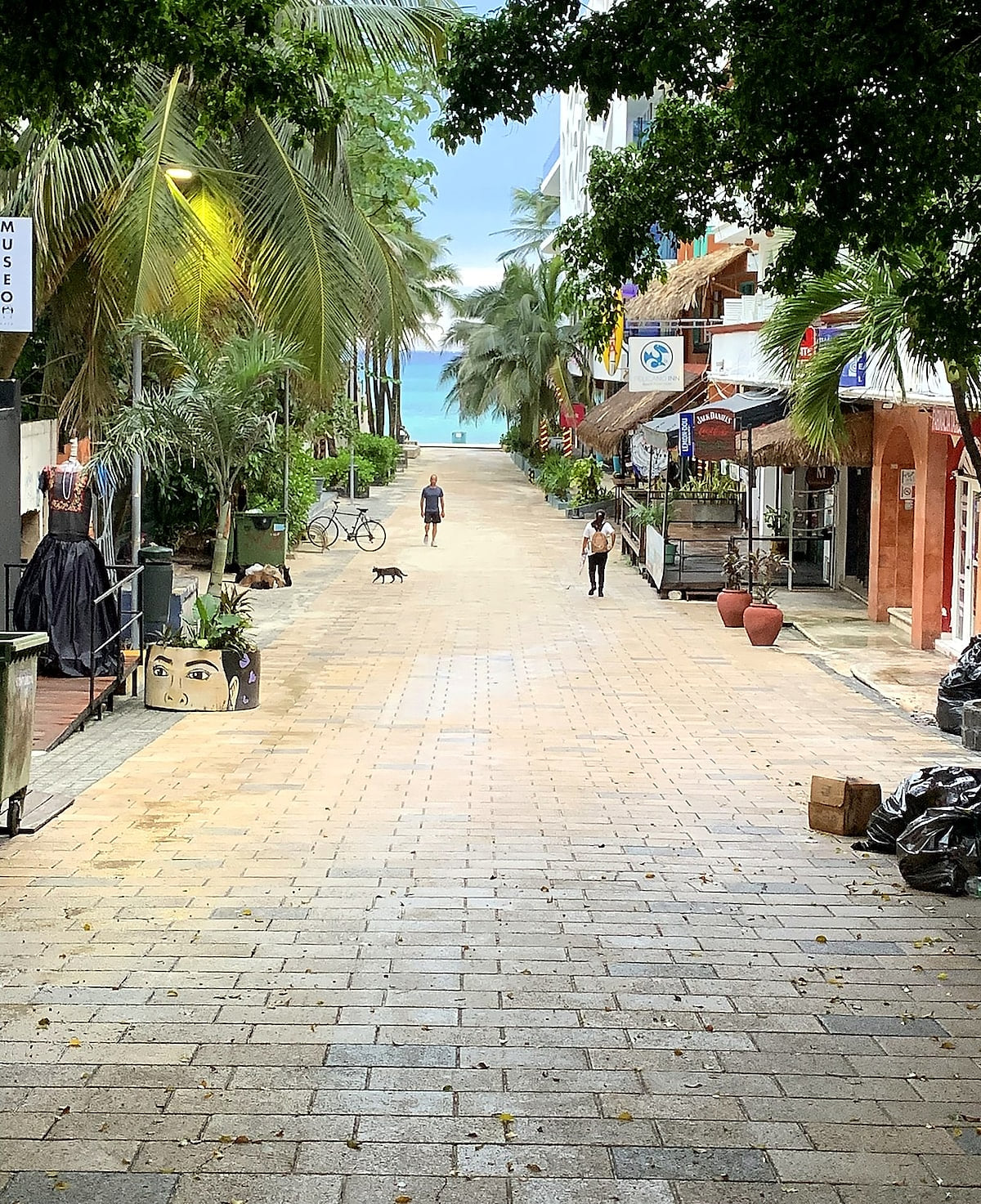 Playacar Luxury Condo | Pools, Gym, Walk to Beach image 66