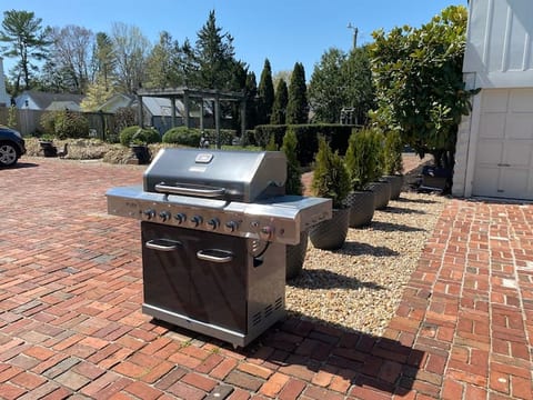 Outdoor gas grill