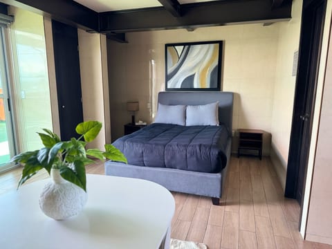 Beautiful and comfortable Rooftop suite