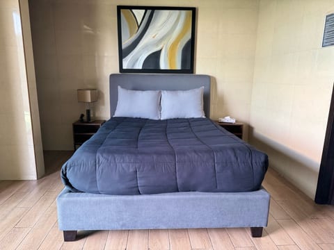 Beautiful and comfortable Rooftop suite