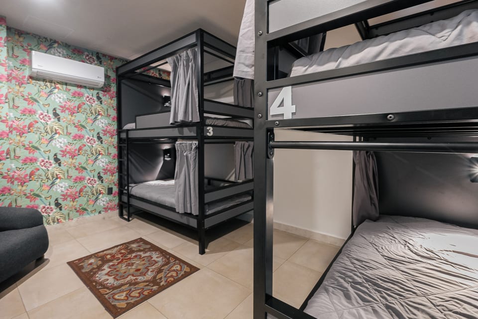 The Jungle Den – Dormitorio condiviso per uomini 303 cama 6A letto superiore - Mexico City