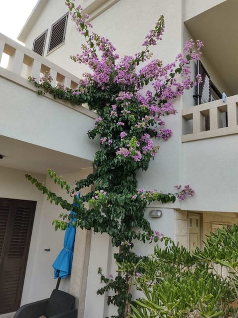 Apartments Coloured - Unit 374645-13