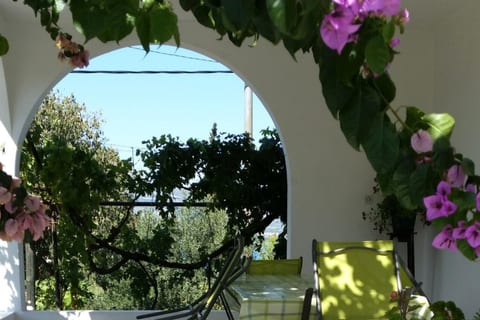 Apartment Lilac - Unit 374893-13