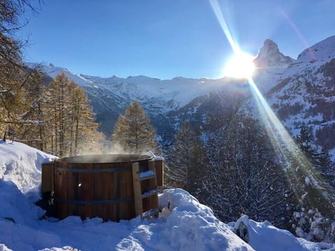 Chalet Bergheim - Ski-in/Ski-out