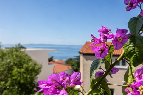 Apartments Josip II - Unit 375224-13