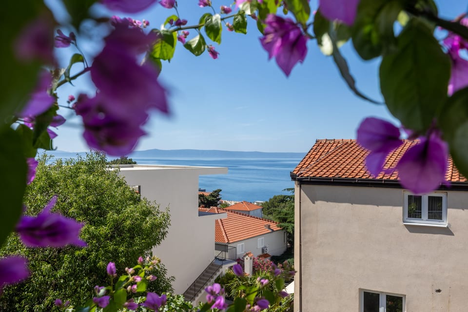 Apartments Josip II - Unit 375224-13