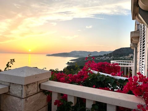 Apartments and Rooms Villa Bouganvillea - Unit 375472-13