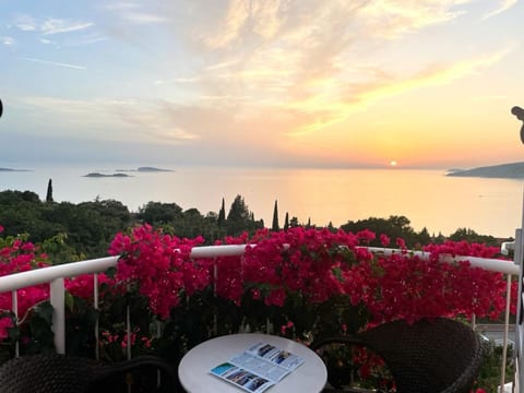 Apartments and Rooms Villa Bouganvillea - Unit 375474-13