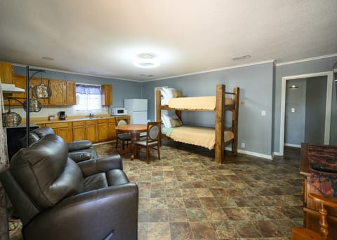 Kitchen and living room