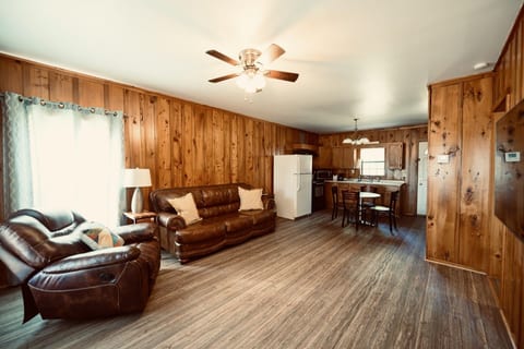 Living room from entrance