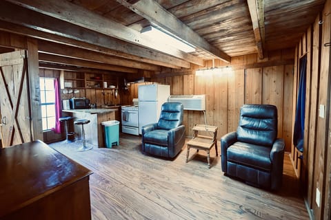 pg02_rustic_cabin_living_interior_cindy_2024_09