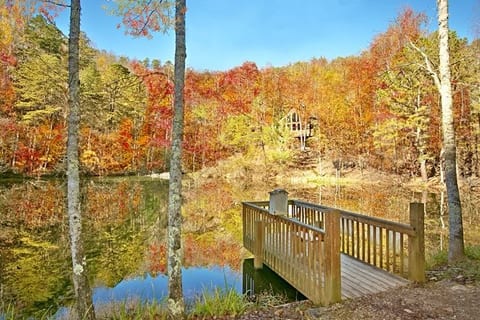 Secluded Luxury 2 Bdrm Cabin w/Theatre Room & Pond