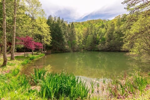 Enjoy a hike around the nearby pond