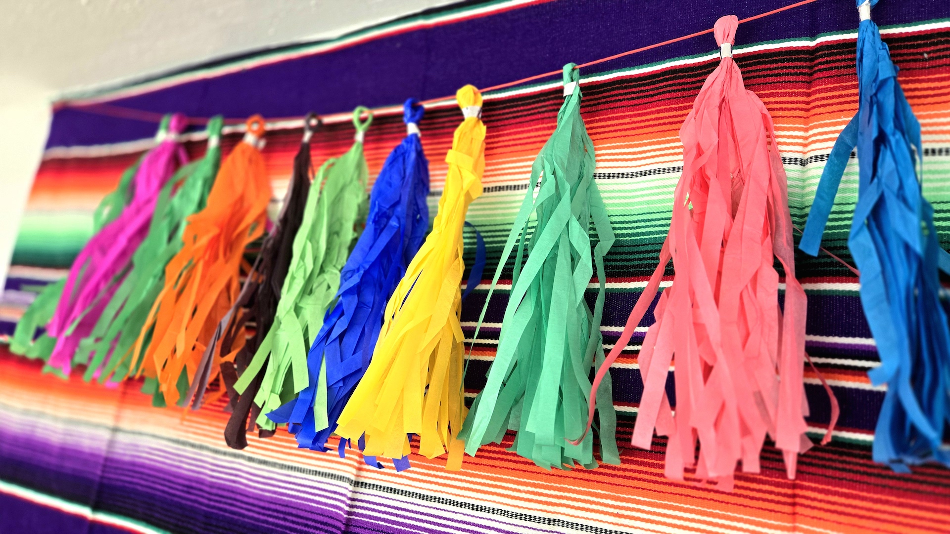 Join Us For A Fiesta! - Central San Antonio - Photo 18