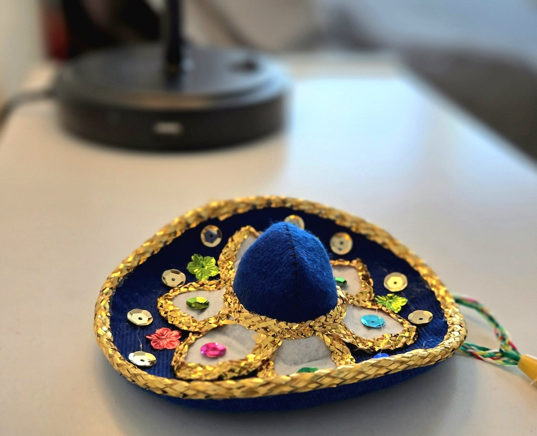 Join Us For A Fiesta! - Central San Antonio - Photo 16