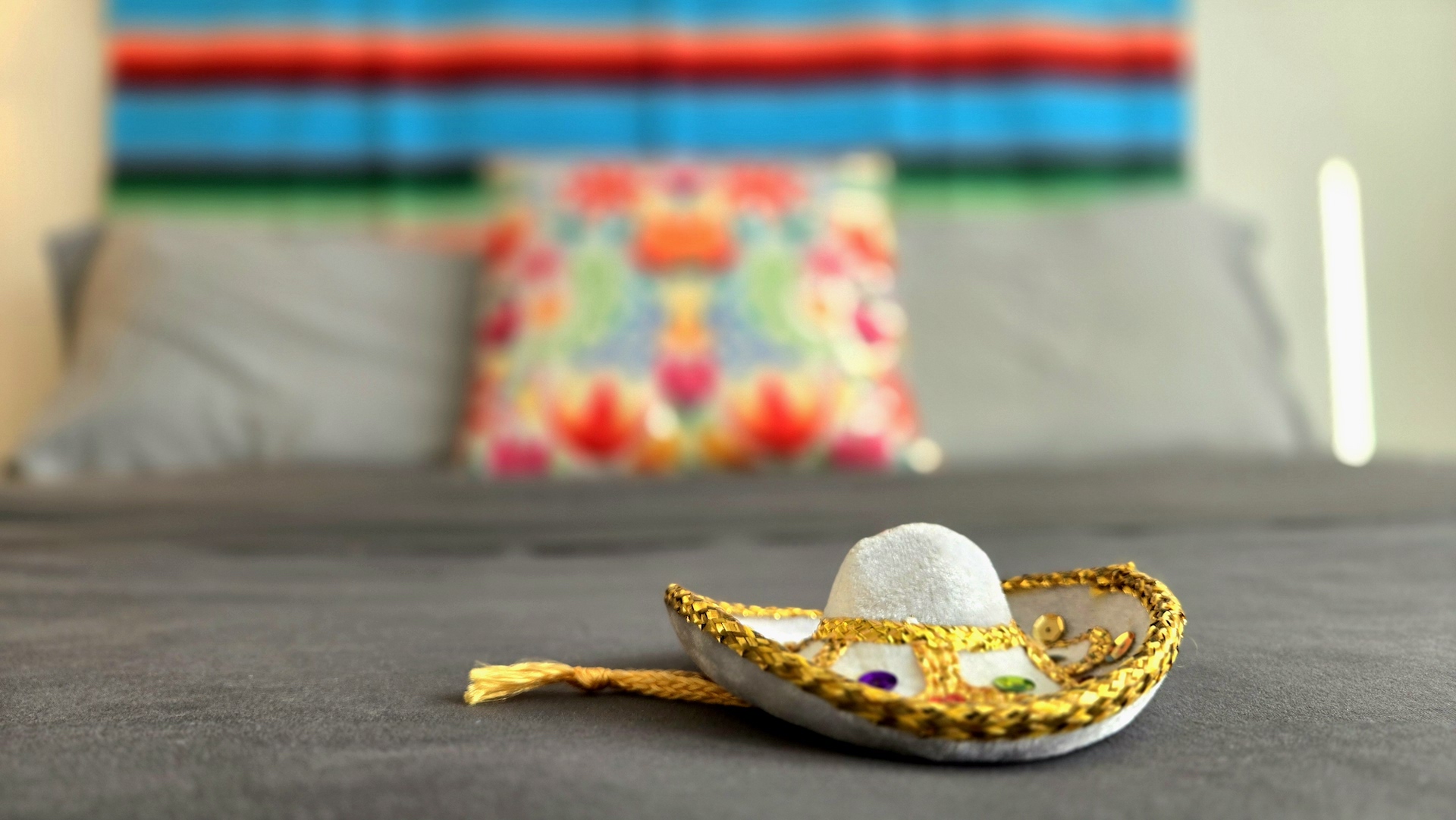 Join Us For A Fiesta! - Central San Antonio - Photo 15