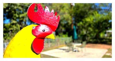 Join Us For A Fiesta! - Central San Antonio