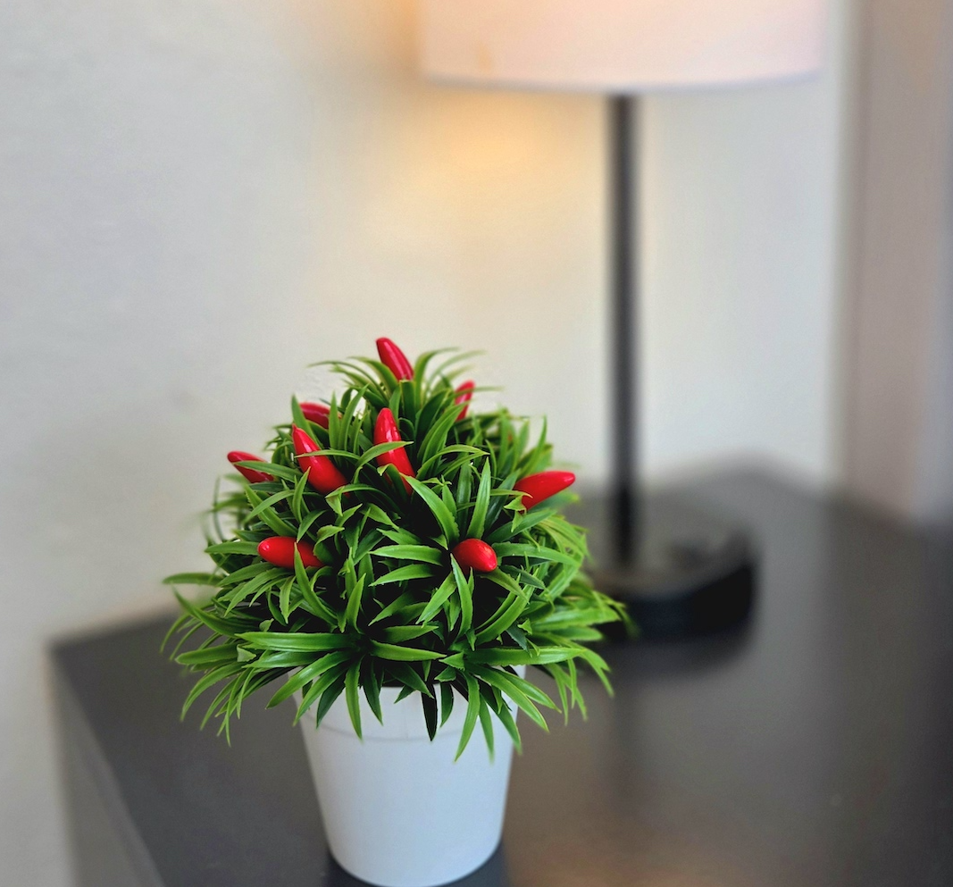 Join Us For A Fiesta! - Central San Antonio - Photo 17