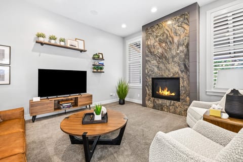Smart TV and fireplace