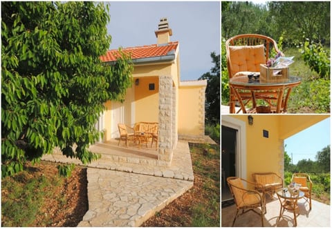 House Mare - Unit 374196-13