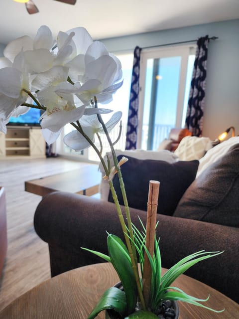 Laketown Wharf 1136