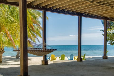 the Caribbean from right here