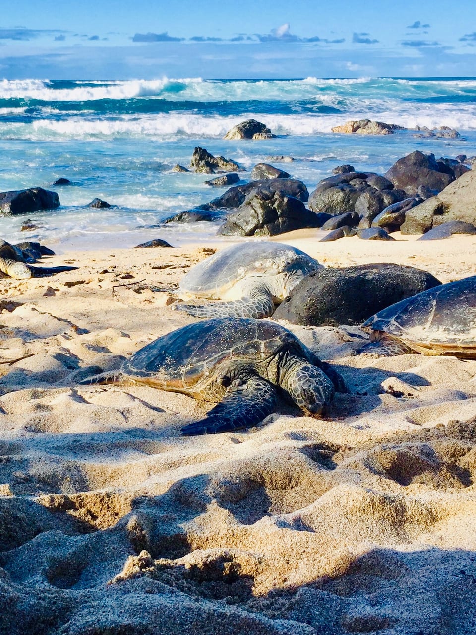 Sunset Beach Lanai - Pupukea