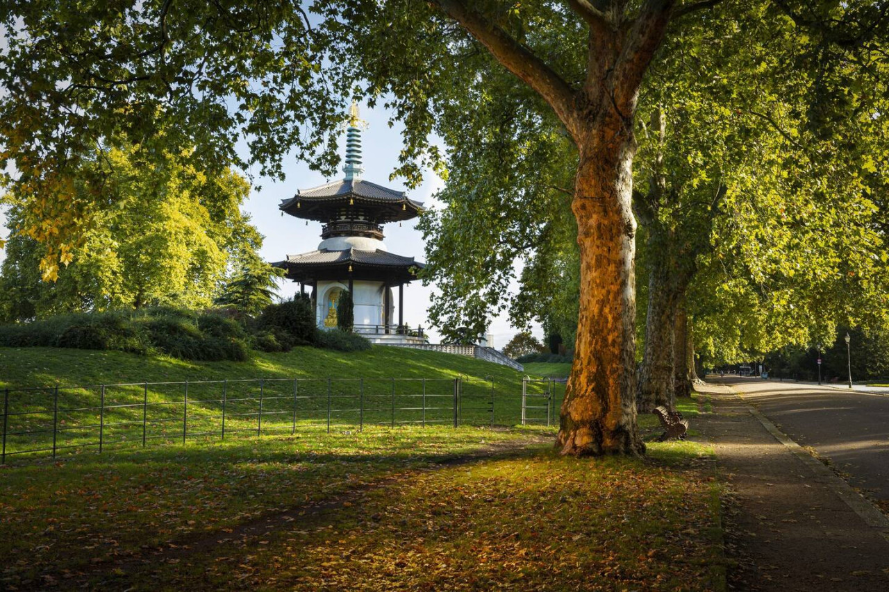 Only a 15-minute walk to Battersea Park, a stunning green oasis in the heart of the city, offering picturesque walking paths, beautiful gardens, and plenty of activities, including boating, a children's zoo, and outdoor fitness options. Only a 15-minute walk to Battersea Park, a stunning green oasis in the heart of the city, offering picturesque walking paths, beautiful gardens, and plenty of activities, including boating, a children's zoo, and outdoor fitness options. - Tranquil & Friendly: Studio Living Near Battersea