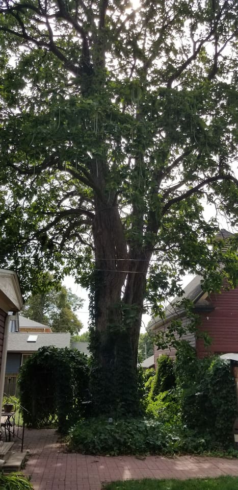 historic-victorian-inn-north-loft-(kp117north)/