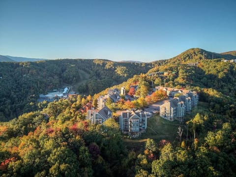 2 Places, 1 Epic Smoky Mtn Stay! Pool•HotTub•Views