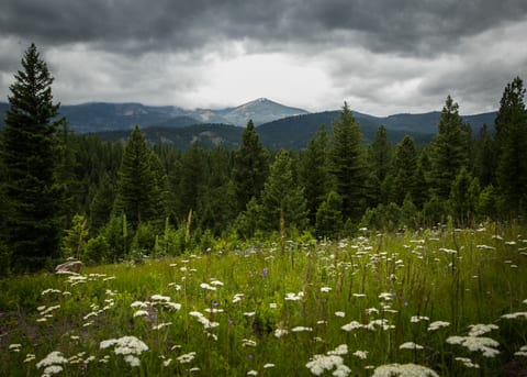 Recharge on Forest Therapy and fall in love with those mountain views.