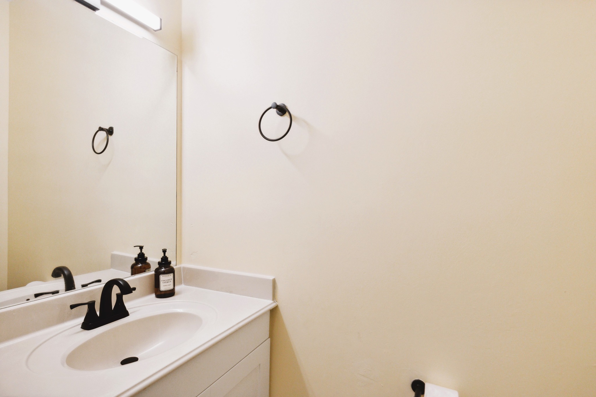 Luxury Home with Gourmet Kitchen - College Station